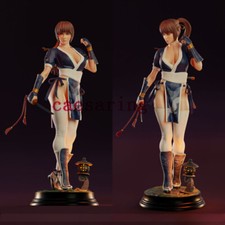 Modellino Kasumi morto o vivo