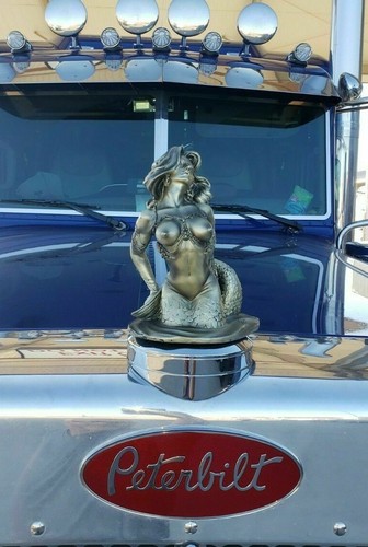 Ornamento cappuccio sirena - cappuccio,