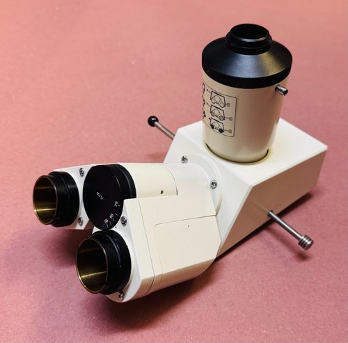 Zeiss 452910 testa microscopio - zeiss,