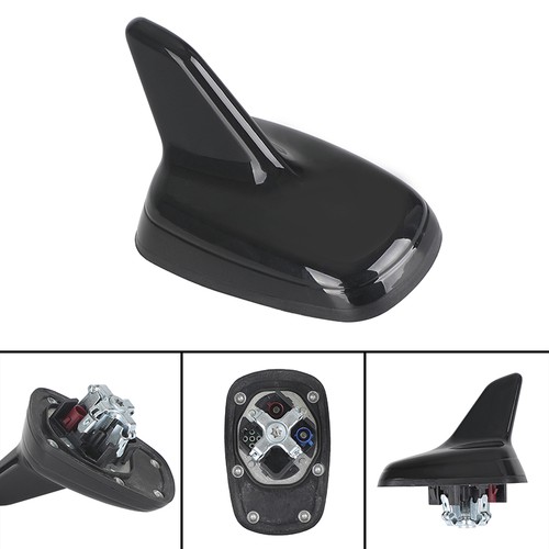 Antenna squalo auto radio