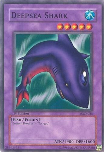 Squalo marino profondo - , mrd-038
