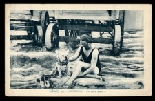 FRENCH BULLDOG Frenchi Antique