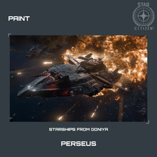 STAR CITIZEN - DIPINTI -