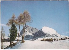 ALPE DI SIUSI - BOLZANO -