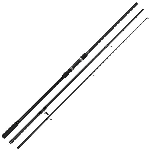 Canna carpa black phantow - canna,