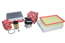 Kit Revisione 1.6 Diesel Ford