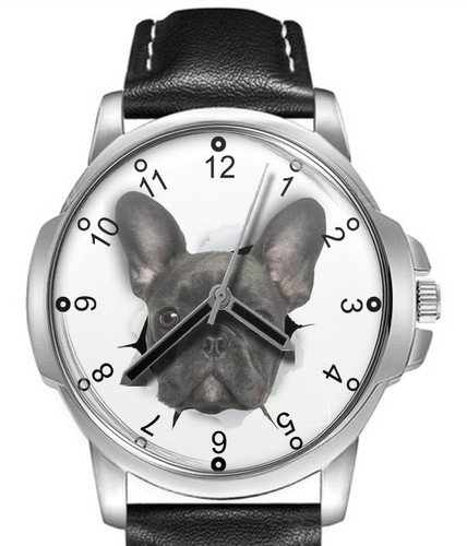 Bulldog francese cinturino - bulldog,