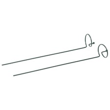 2 PEZZI Piante in Vaso