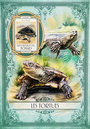 Francobolli tartarughe cad s - francobolli,