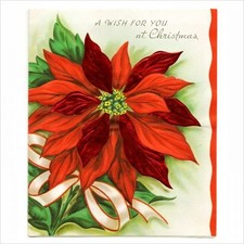 Carta di auguri Poinsettia