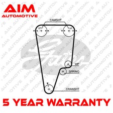 Cinghia Distribuzione
