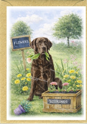Biglietto auguri per cani - auguri,