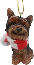 Yorkshire Terrier Dog Lover