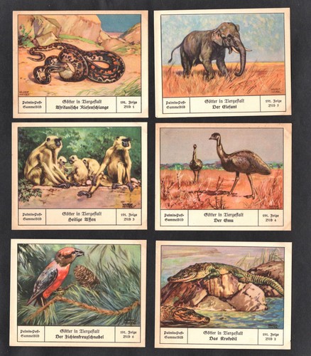 Animals birds palmin - palmin, soft