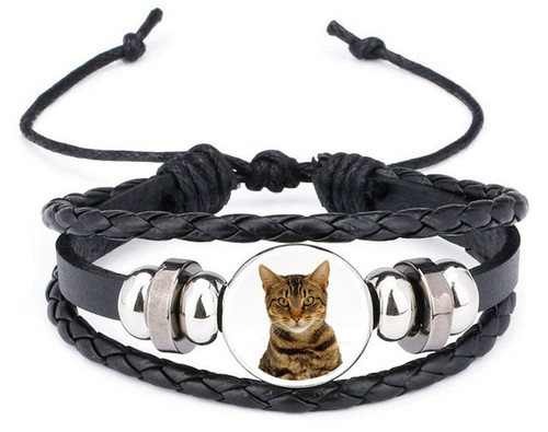 Tabby cat pet black - pet, leather