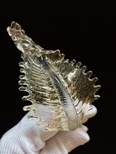 Foglia Bassa Verto Murano Glass Ricambio Lampadario Appliqué Classico Veneziano