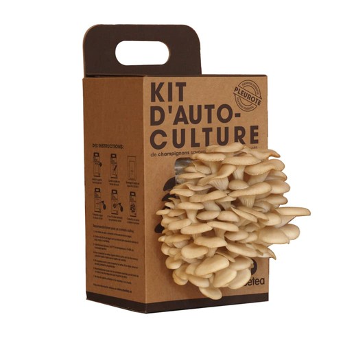 Resetea kit di - kit,