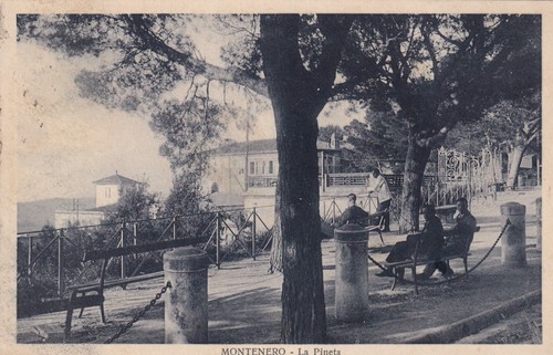 Cartolina livorno - di,