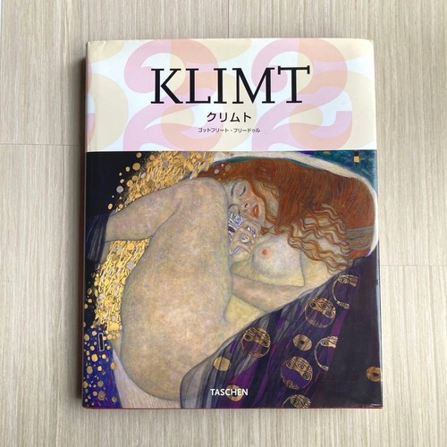 Gustav klimt art book - art,
