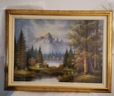 Quadro tecnica olio su tela  misure cornice 84x64  con vetro Laghetto montagna
