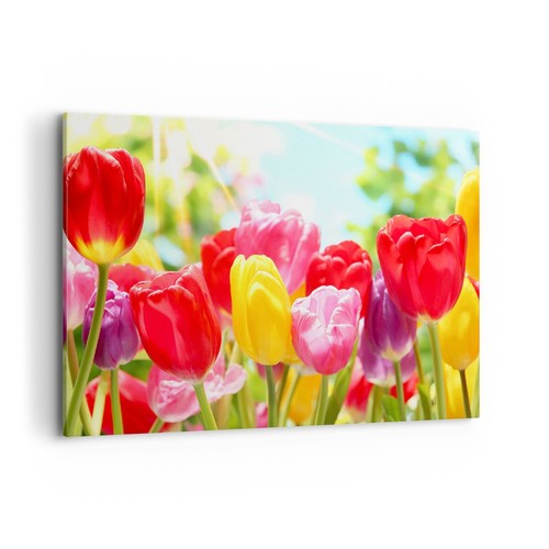 Quadro tela 100x70cm - quadro,