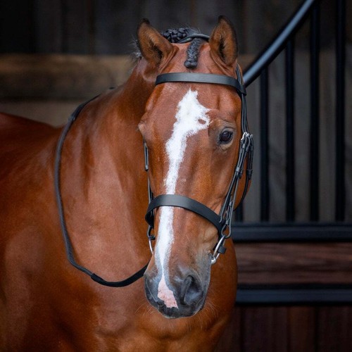Shires velociti rapida - shires,