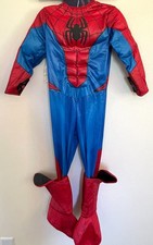 Spider-Man Deluxe Costume