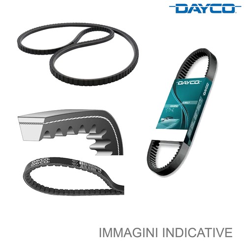 Cinghia poly dayco - cinghia, poly-v