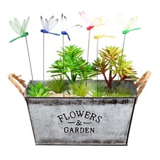 16 pezzi simulazione Dragonfly