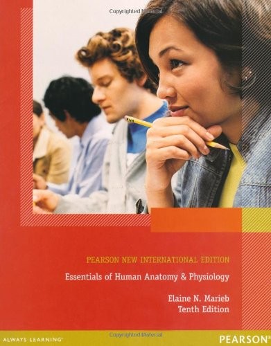 Essentials human anatomy - human, &