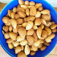 Mandorle dolci In Guscio di