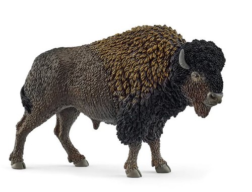 Schleich bison échelle - bison,,