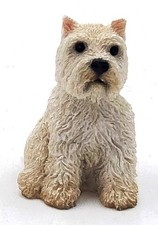 West Highland Terrier White
