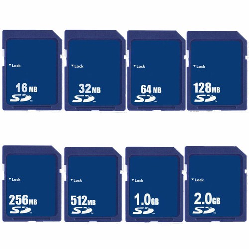 Scheda memoria flash - memoria,