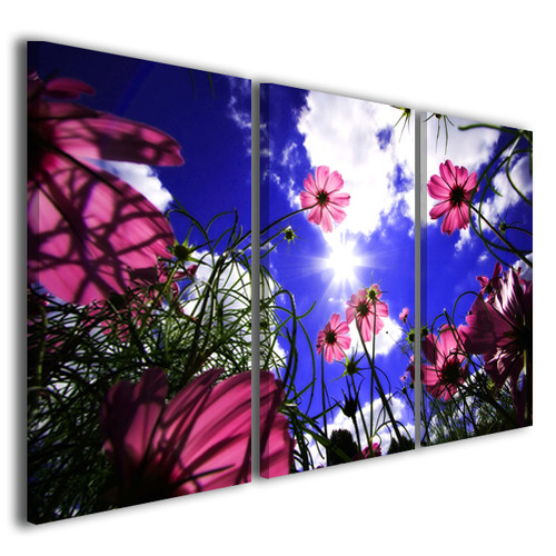 Stampe tela fiori light - ,