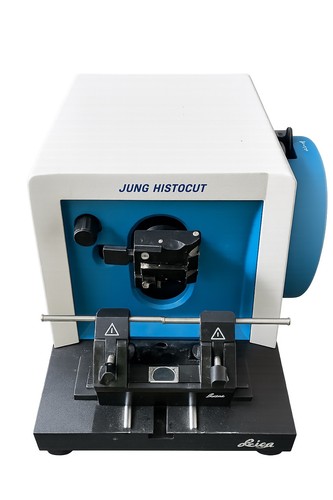 Leica arricchisce jung - arricchisce,