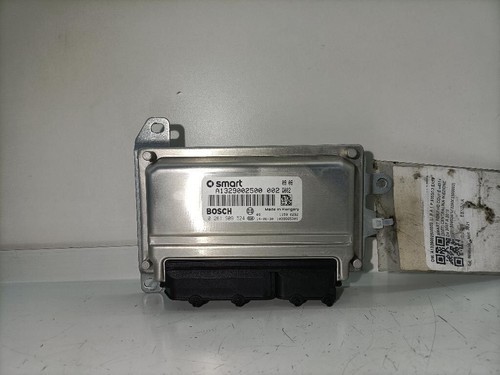 Centralina motore smart fortwo - motore,