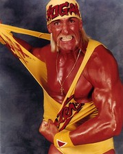 HULK HOGAN WRESTLING POSTER |
