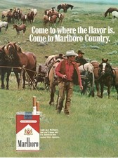 MARLBORO COUNTRY FILTER