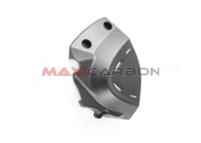 Copripignone carbonio Ducati