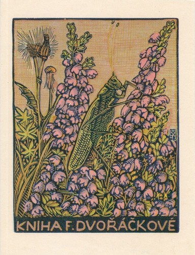 Exlibris bookplate incisione - exlibris,