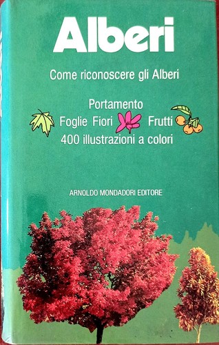 Alberi paola lanzara mariella - alberi,