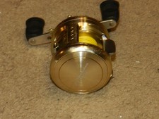 RARE Team Daiwa Luna 203