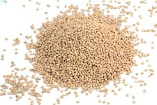 Semi di ciliegia sfusi per