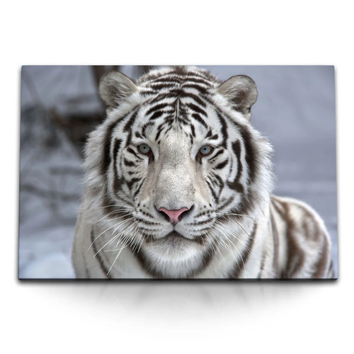 Quadro tela 120x80 tigre - quadro, cm