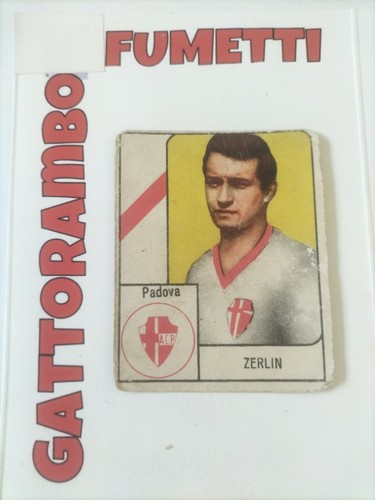 Figurine cartonate zerlin - figurine,