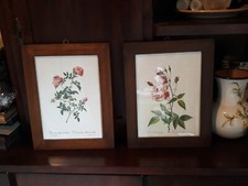 Grande Quadro Stampe Antiche