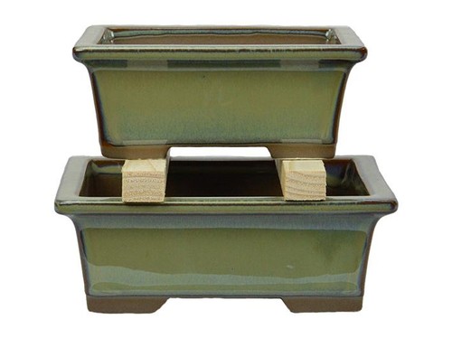 Vasi per bonsai giapponesi - per,