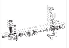 Cestello prefiltro di ricambio per pompa Gloobe Powertech SMP