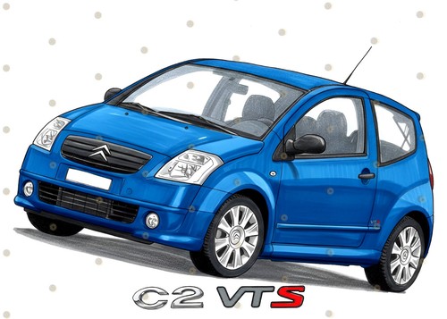 Citroen vts cuadro - c2,